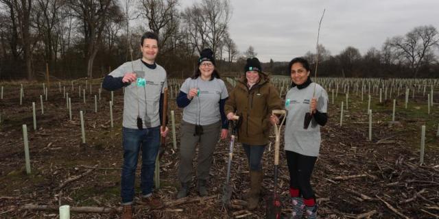 arval_tree_planting_high_res